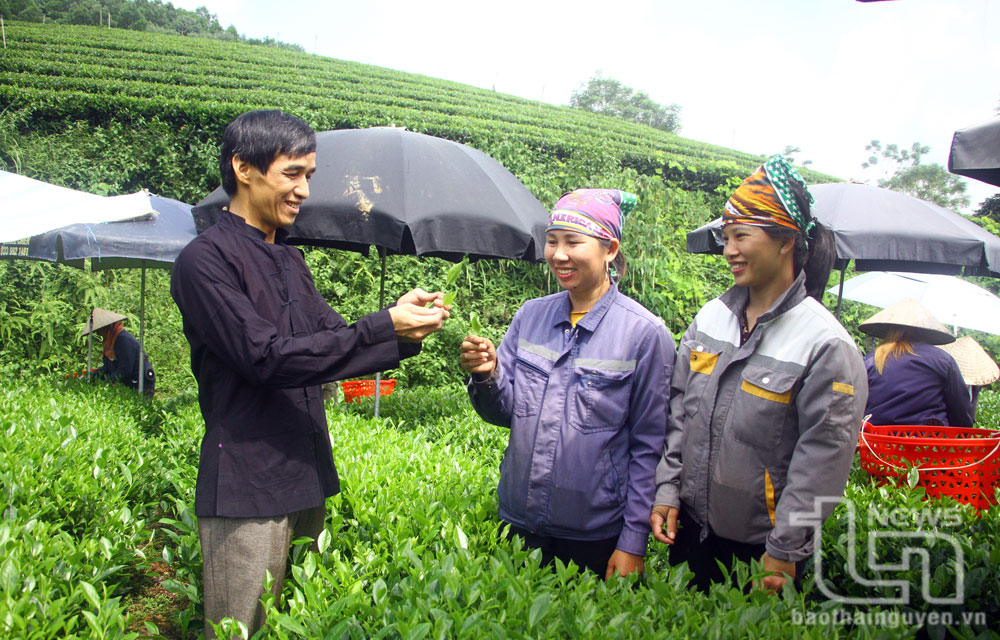 Người có uy tín ở Vân Hòa
