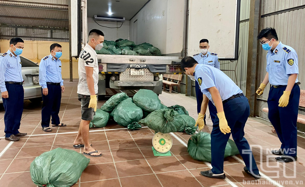 Xử lý vận chuyển hàng không rõ nguồn gốc: Bất cập nhìn từ vụ 2 tấn tai lợn "bẩn"