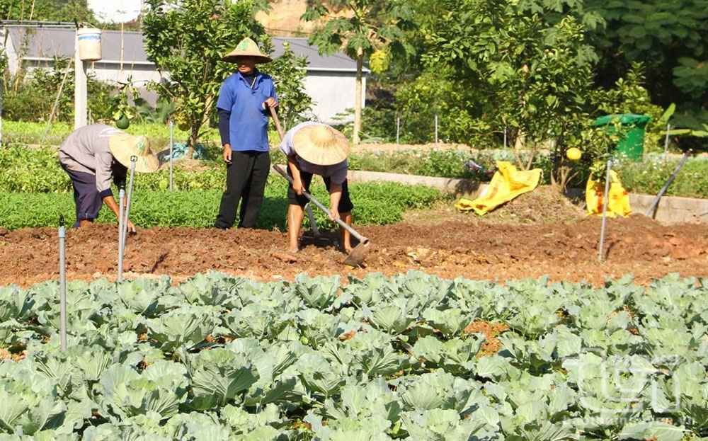 Hơn cả tình thân