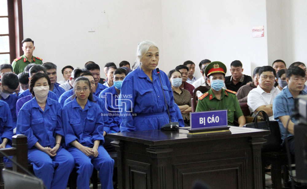 Xét xử vụ khai thác than trái phép ở Đại Từ: Đại diện Viện Kiểm sát đề nghị tạm ngừng phiên tòa