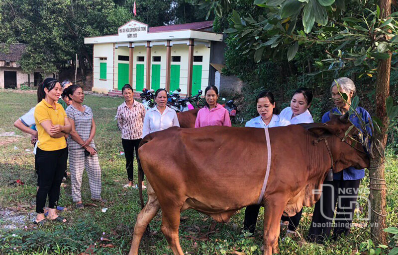 Phú Bình: Đào tạo nghề cho 175 nông dân nghèo