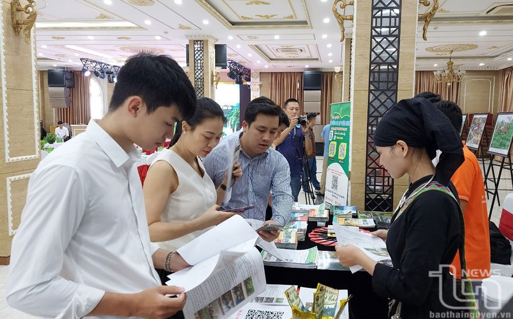 Thái Nguyên coi trọng ngành “công nghiệp không khói”