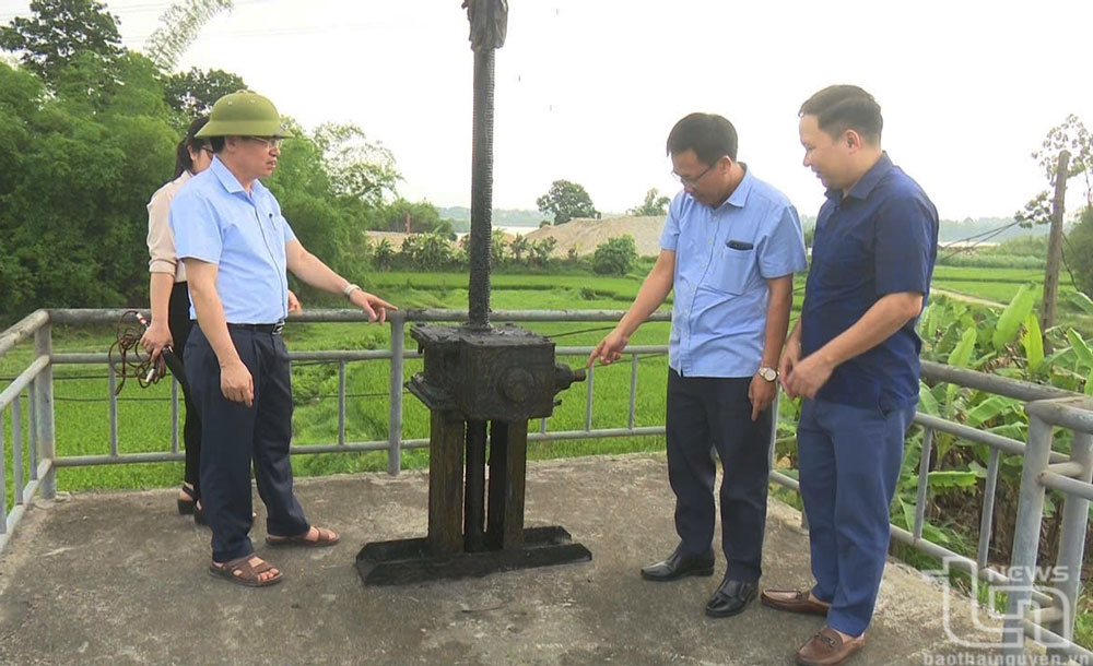 TP Phổ Yên: Củng cố, bảo vệ đê xung yếu