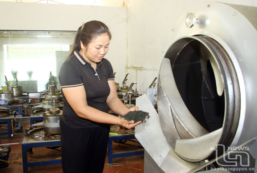 Nữ giám đốc hợp tác xã năng động, làm kinh tế giỏi