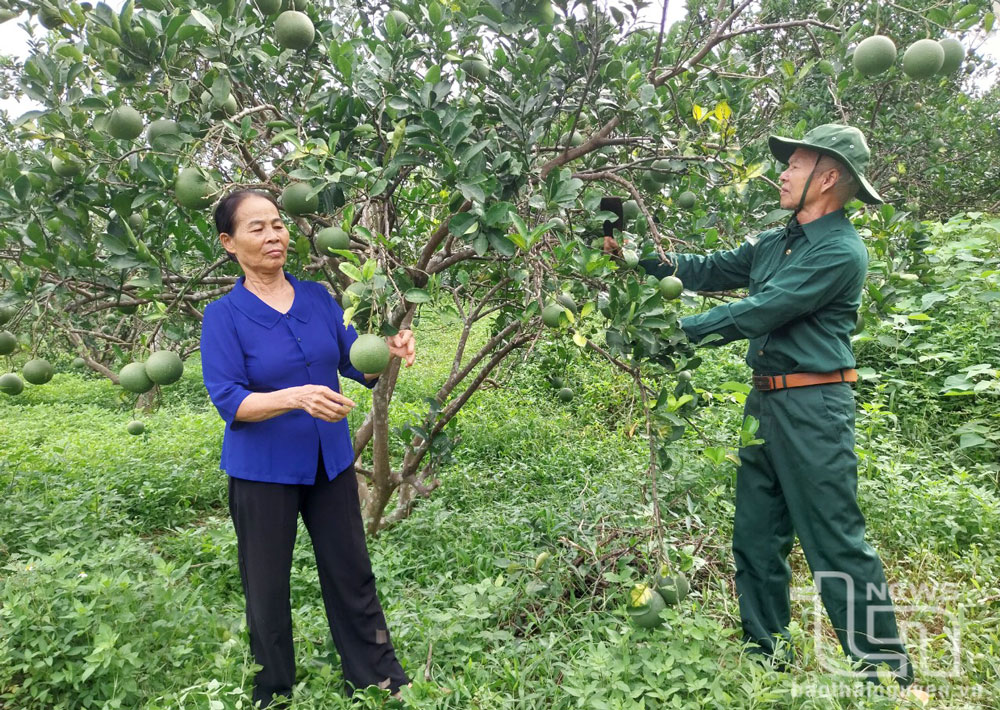 Gia đình ông Lương Văn Việt, xóm Tân Thành, xã Kha Sơn (Phú Bình) vay vốn Ngân hàng CSXH để đầu tư mô hình VAC.