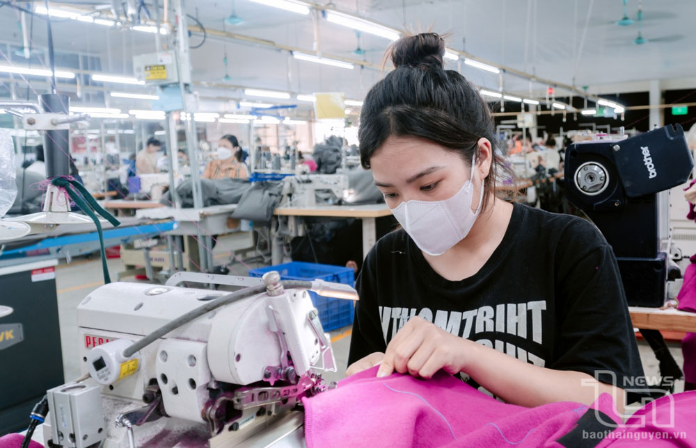 Thái Nguyên: Giá trị xuất khẩu đứng thứ 5 cả nước