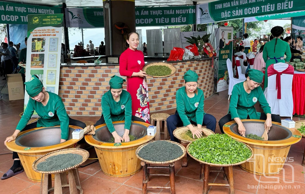 Thái Nguyên có 1 nông dân và 1 hợp tác xã sản xuất chè được vinh danh toàn quốc