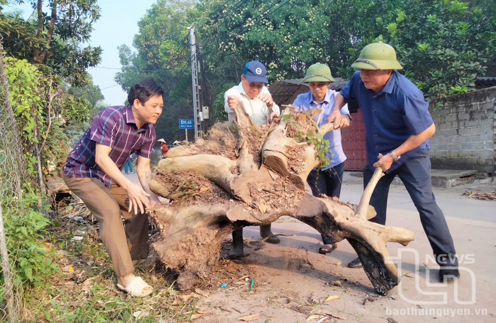 Cán bộ, công chức các cơ quan của huyện Phú Bình cùng người dân xã Tân Kim tham gia dọn dẹp vệ sinh đường làng ngõ xóm.