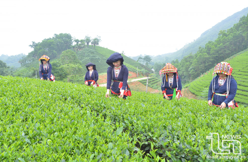 Chào mừng Đại hội đại biểu các dân tộc thiểu số tỉnh Thái Nguyên lần thứ IV - năm 2024: Ưu tiên chăm lo đời sống đồng bào dân tộc thiểu số