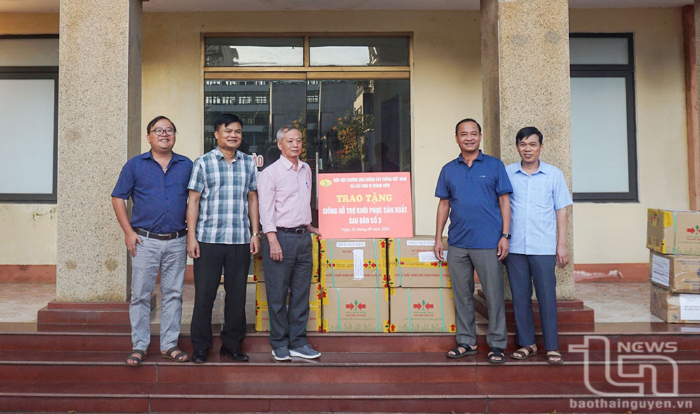 Nhận hỗ trợ giống rau để khôi phục sản xuất