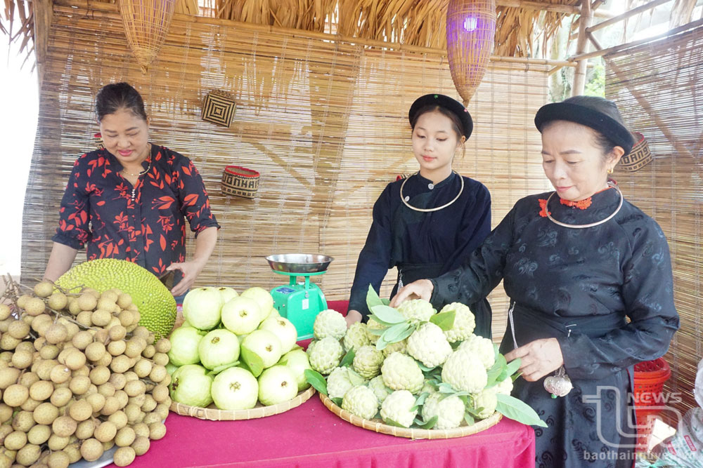 “Chìa khóa” giảm nghèo cho đồng bào dân tộc thiểu số