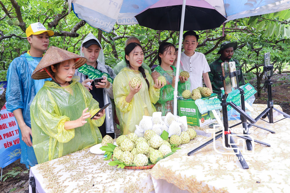 Phiên livestream bán na La Hiên năm 2024, đã có trên 6 triệu lượt xem trực tiếp trên các nền tảng mạng xã hội và 865 đơn đặt hàng trực tuyến các sản phẩm nông sản của tỉnh.