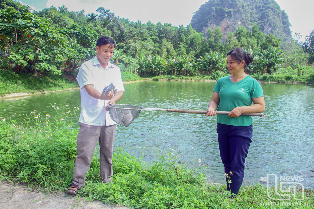 Không để lãng phí tiềm năng phát triển thủy sản