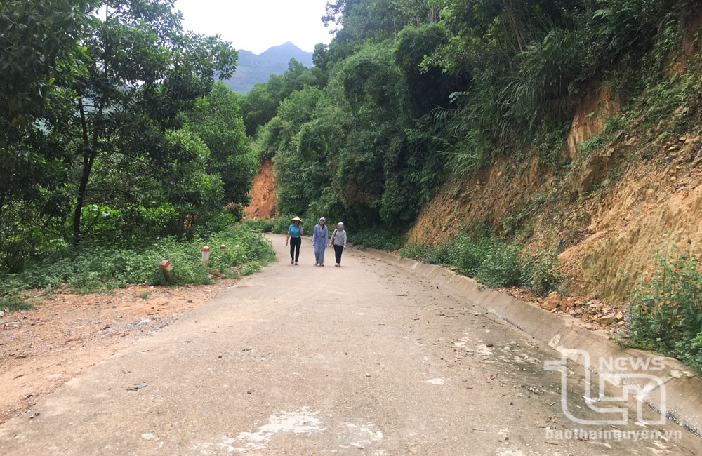 Tiếp nhận, sử dụng trên 28,2 nghìn tấn xi măng