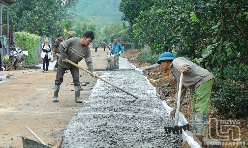 Phú Lương: Phấn đấu phân bổ hết 15.600 tấn xi măng tỉnh giao