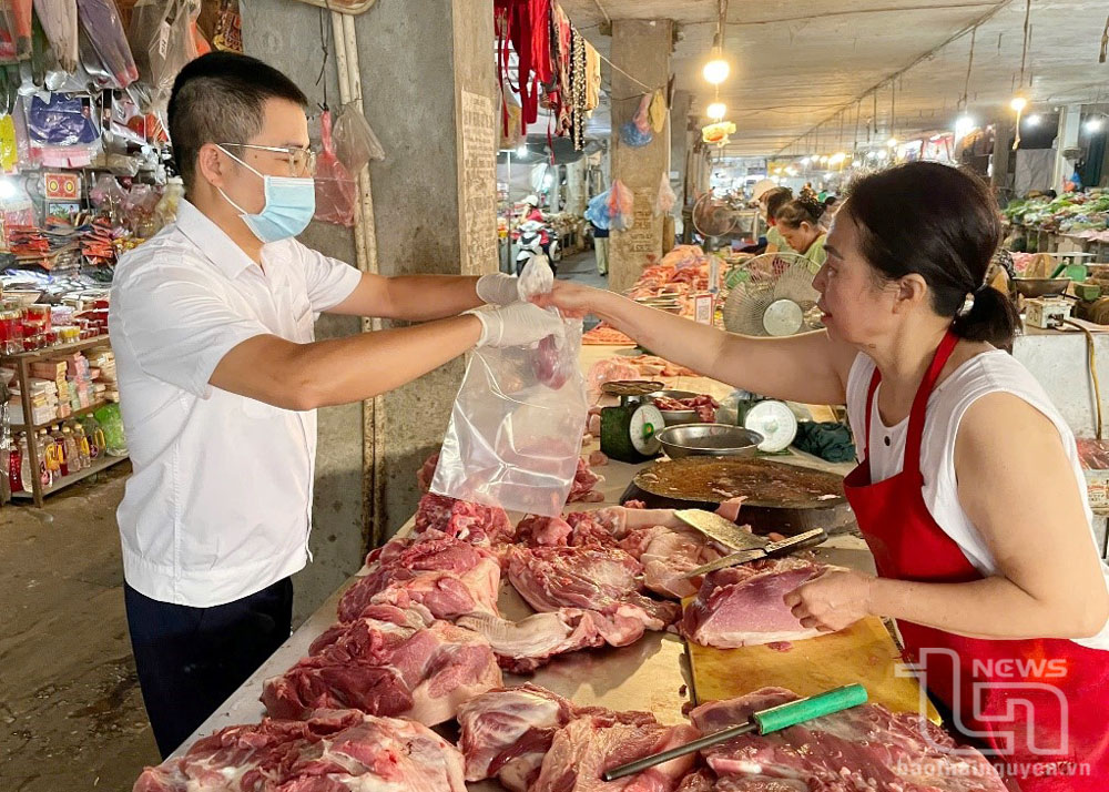 Lấy mẫu, điều tra dịch tễ dịch tả lợn châu Phi