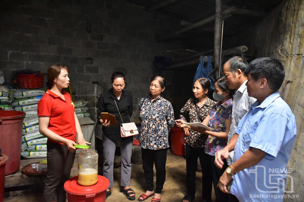Chị Vi Thị Phương, xóm La Giang, xã Quang Sơn (Đồng Hỷ), chia sẻ ứng dụng vi sinh vật bản địa vào trồng, chăm sóc chè cho hội viên, nông dân trên địa bàn huyện.