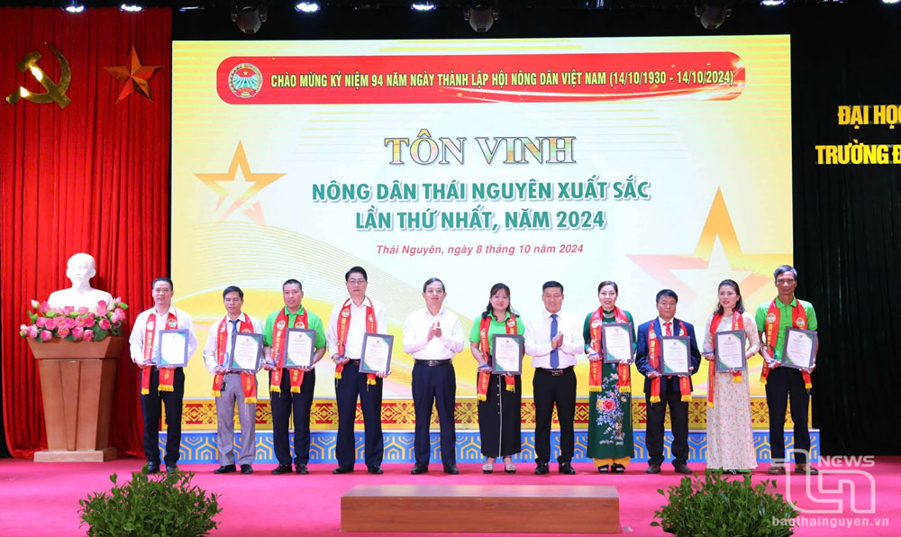 Đồng chí Phạm Hoàng Sơn, Phó Bí thư Thường trực Tỉnh ủy, Chủ tịch HĐND tỉnh, trao biểu trưng, giấy chứng nhận tặng 9 nông dân tiêu biểu, xuất sắc của tỉnh năm 2024.