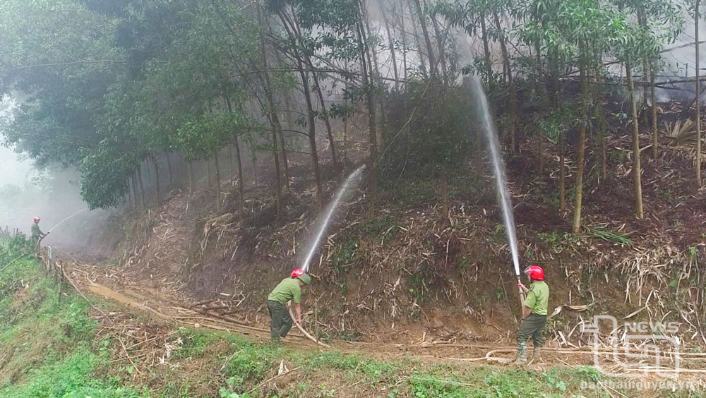 Định Hóa chủ động phòng chống cháy rừng mùa khô