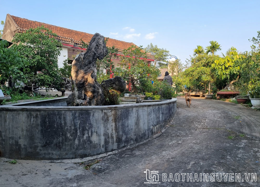 Nhà ông Thắng trên khu vực đồi Đình (xã Tân Cương, TP. Thái Nguyên).