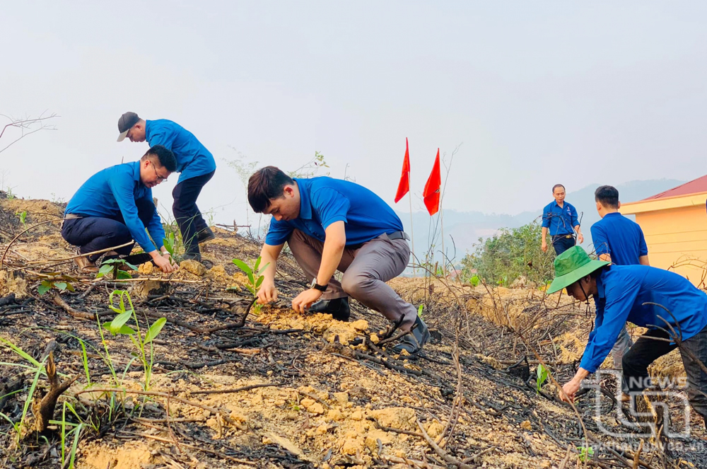 Thành đoàn Thái Nguyên: Nhiều hoạt động bảo vệ môi trường