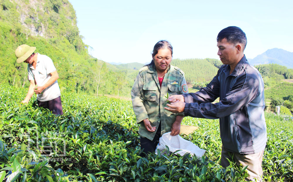 ​​​​​​​Người cán bộ Mặt trận ở xã vùng cao luôn bám cơ sở
