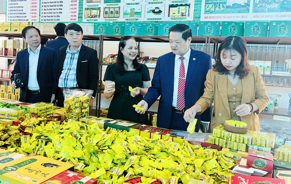 Giao lưu, trao đổi kinh nghiệm hoạt động của hội doanh nghiệp