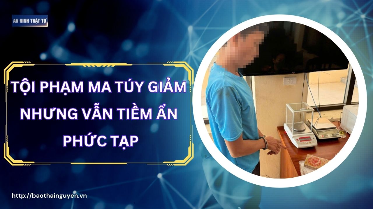 Bản tin ANTT tuần 4, tháng 11/2024: Tội phạm ma túy giảm nhưng vẫn tiềm ẩn phức tạp