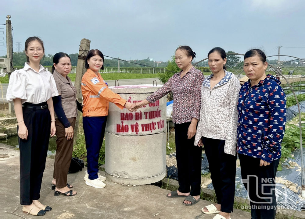Bảo vệ môi trường nông thôn: Bài toán không dễ giải