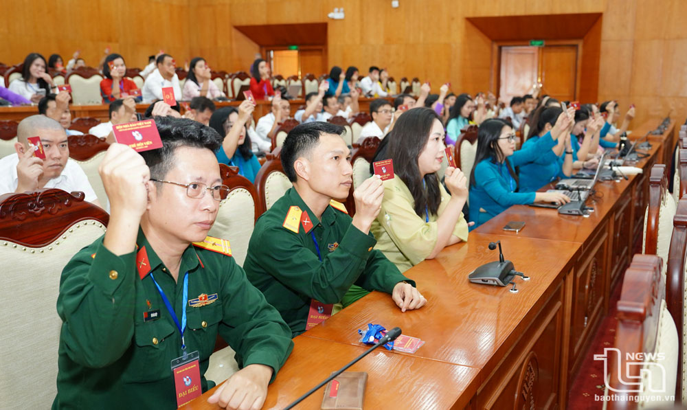 Nhiều giải pháp nâng cao chất lượng, hiệu quả hoạt động của Hội