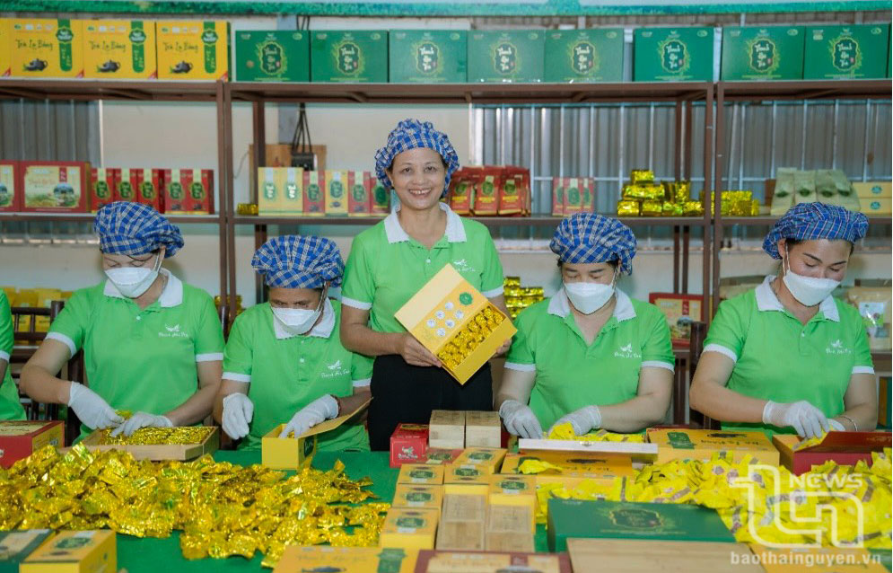 Sản phẩm chè của Hợp tác xã chè La Bằng đạt tiêu chuẩn OCOP 4 sao.