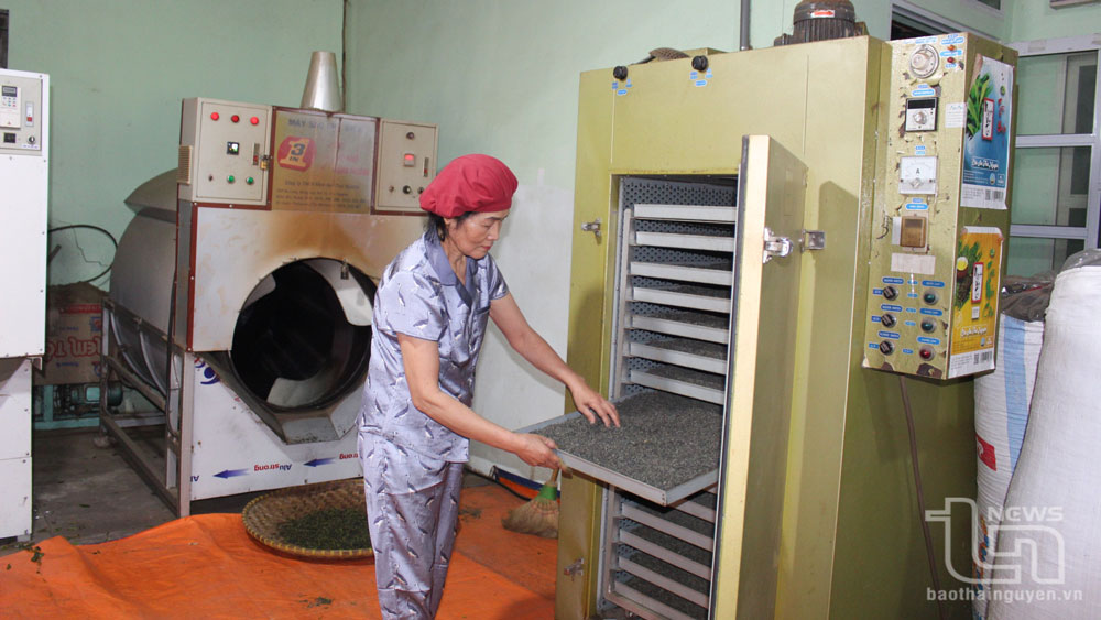 Nâng cao giá trị chè Minh Lập