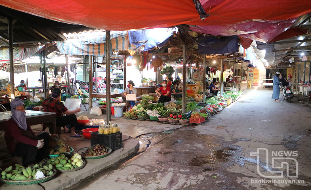 Mưu sinh ở đâu?