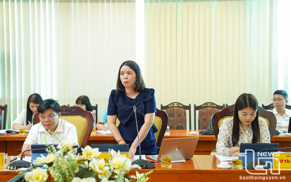 Các đại biểu nêu ý kiến tại cuộc họp.
