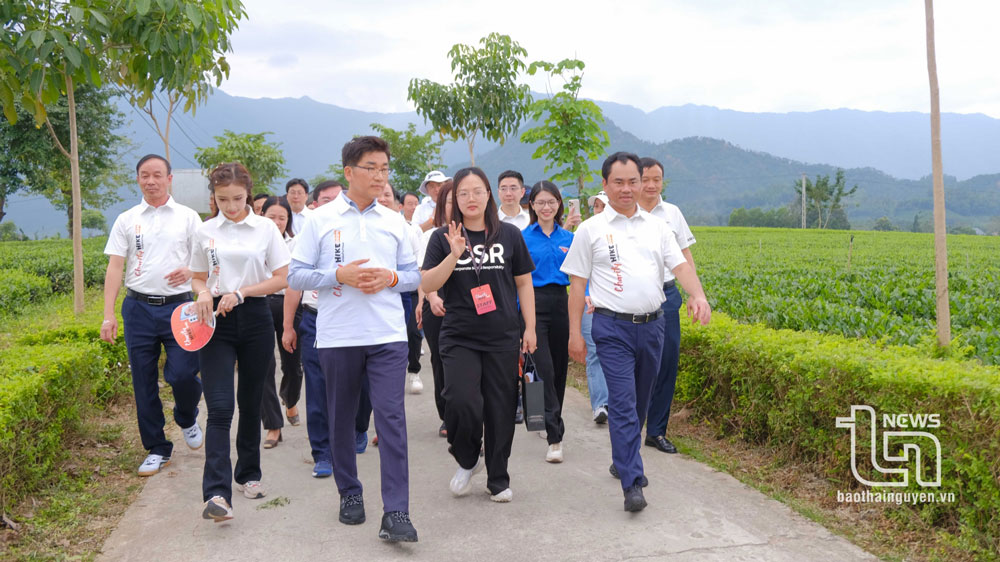 Các đại biểu hưởng ứng phong trào đi bộ gây quỹ mổ tim cho trẻ em.