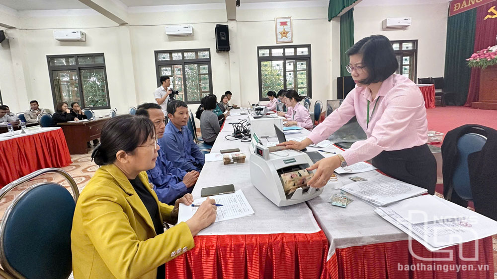 Ngân hàng Chính sách Xã hội tỉnh: Giải ngân 6 tỷ đồng giúp người trồng đào Cam Giá khôi phục làng nghề