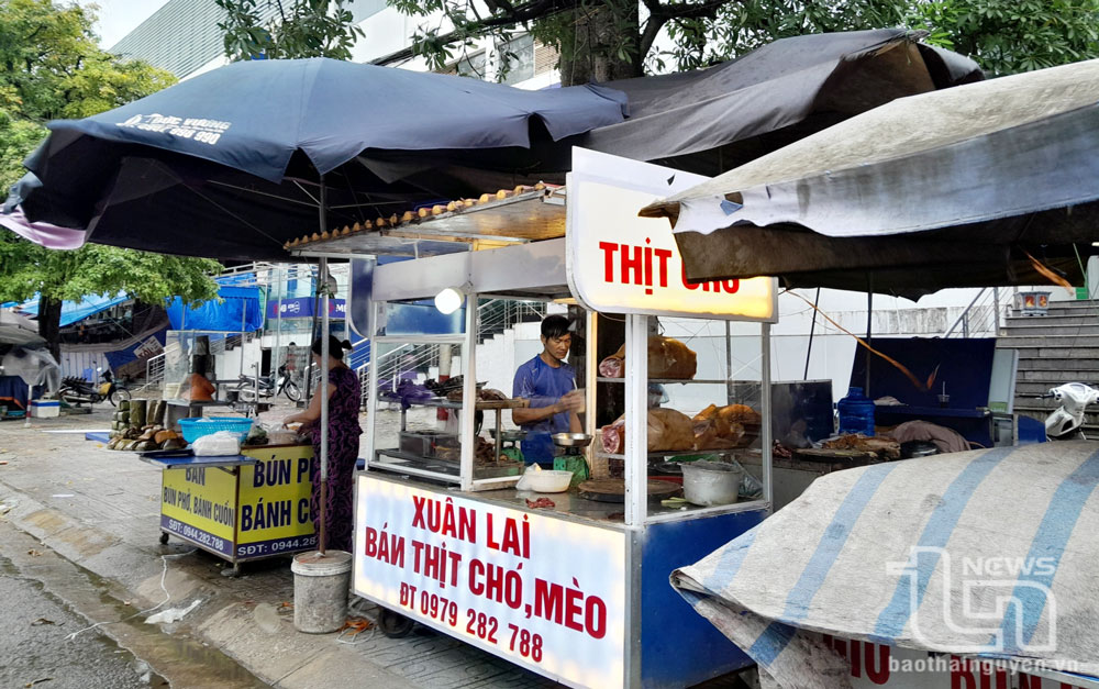 Giảm thiểu hoạt động mua bán, vận chuyển, giết mổ chó, mèo