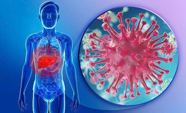 Phấn đấu 80% tỉ lệ người bệnh HIV được làm xét nghiệm sàng lọc viêm gan virus C
