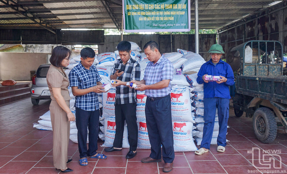 Hỗ trợ sản xuất an toàn trong chăn nuôi: Hiệu quả, thiết thực