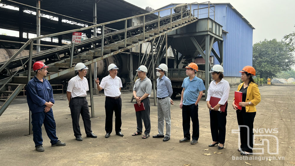 Thẩm định các giải pháp tham dự Hội thi Sáng tạo kỹ thuật tỉnh lần thứ XII
