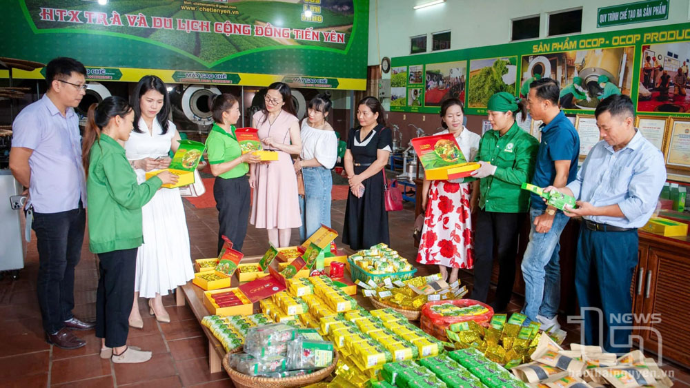 TP. Thái Nguyên: Doanh thu từ du lịch tăng khoảng 13%