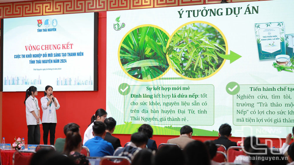 Phần trình bày của các nhóm tác giả trong Vòng chung kết Cuộc thi.