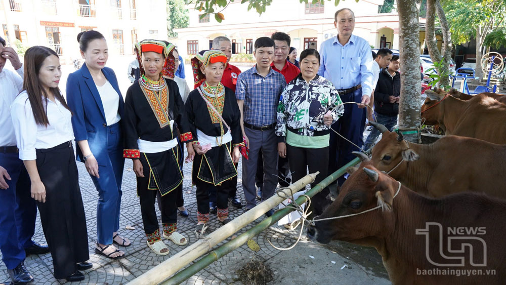 Phát huy vai trò hạt nhân của Mặt trận Tổ quốc và tổ chức thành viên