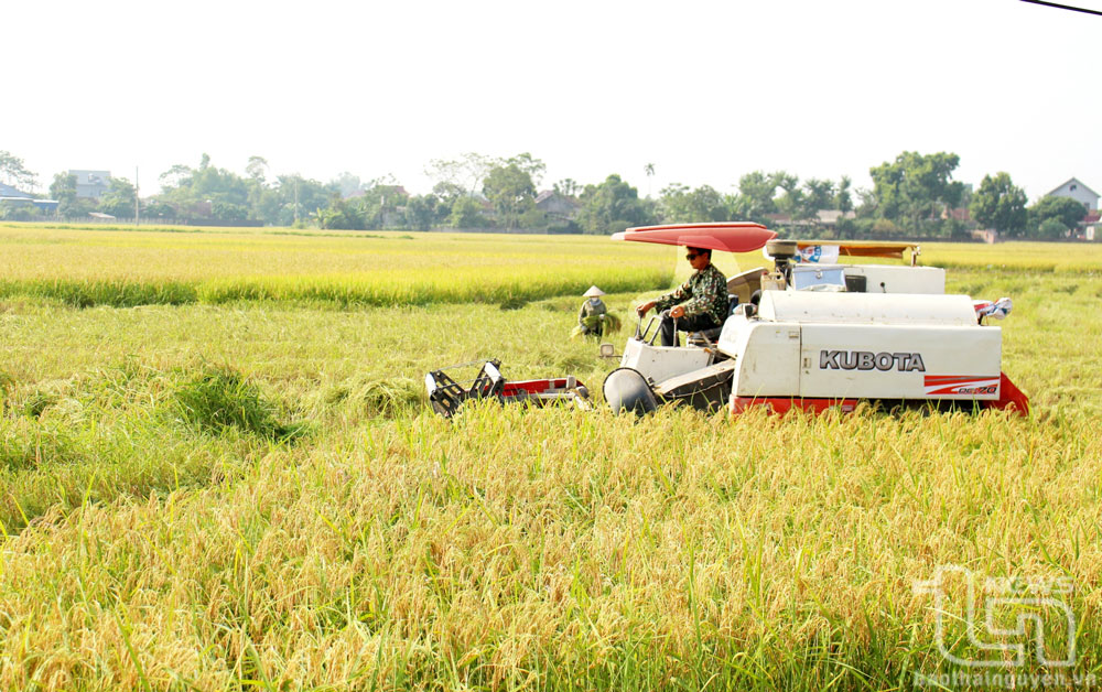 Ứng dụng khoa học - công nghệ: Nâng cao hiệu quả sản xuất