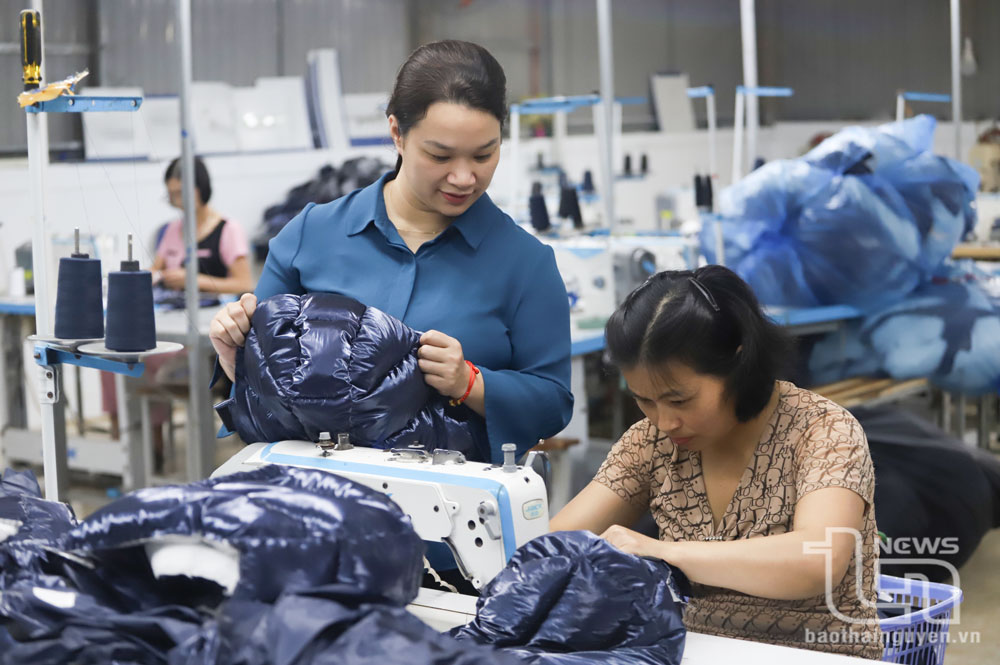 Nhiều giải pháp hỗ trợ phụ nữ phát triển kinh tế