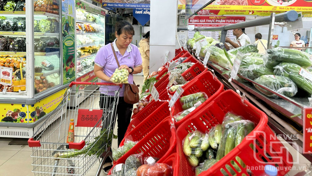 Chủ động chuyển đổi giống khi giá rau xanh “hạ nhiệt”