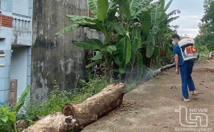 Số ca mắc sốt xuất huyết đang “hạ nhiệt”