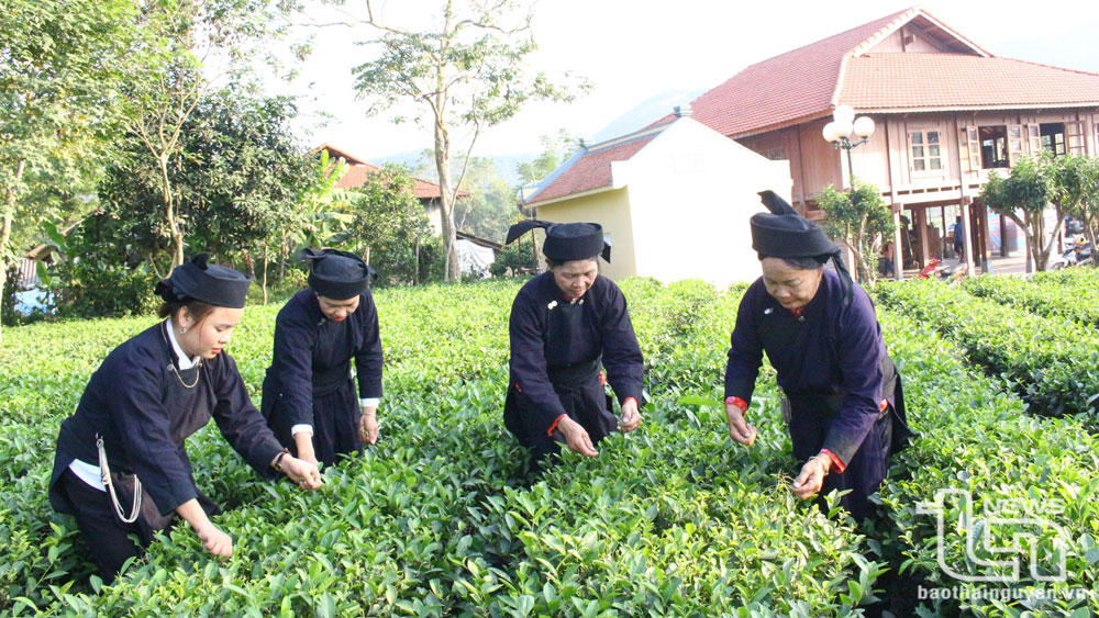 Người Tân Đô giữ gìn bản sắc văn hóa dân tộc