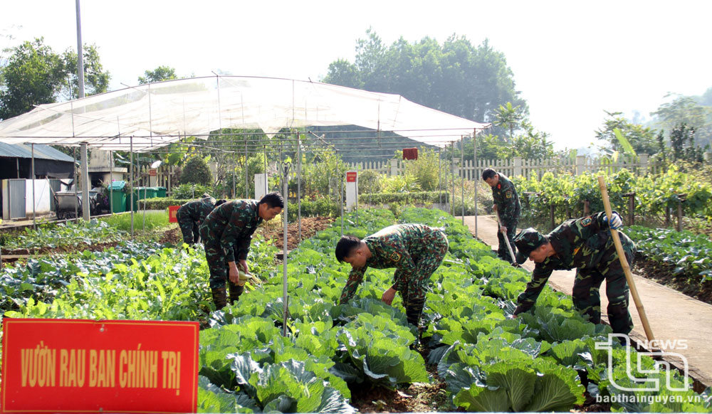 Xây dựng trận địa tư tưởng vững chắc trong lực lượng vũ trang