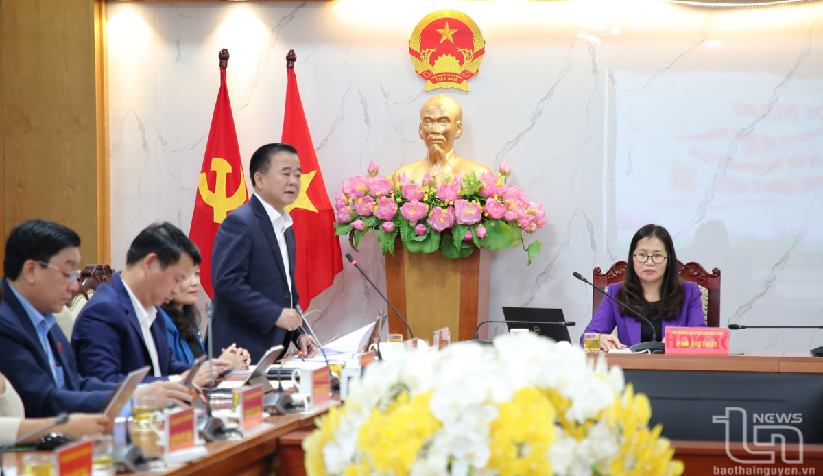 Thẩm tra các tờ trình và dự thảo Nghị quyết